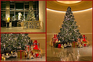 Christmas ディスプレイ2023